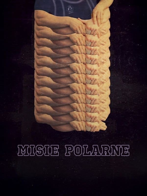 Misie polarne